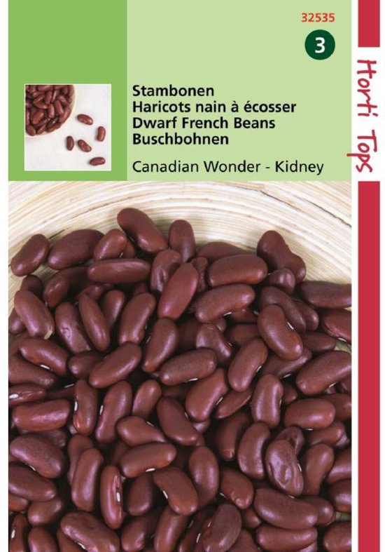 Kidney bean Canadian Wonder (Phaseolus) 25 seeds